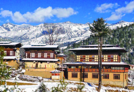zhidhey resort